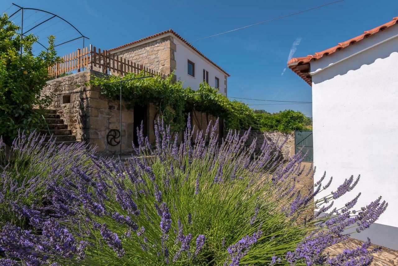 Quinta Do Acipreste Lamego Buitenkant foto