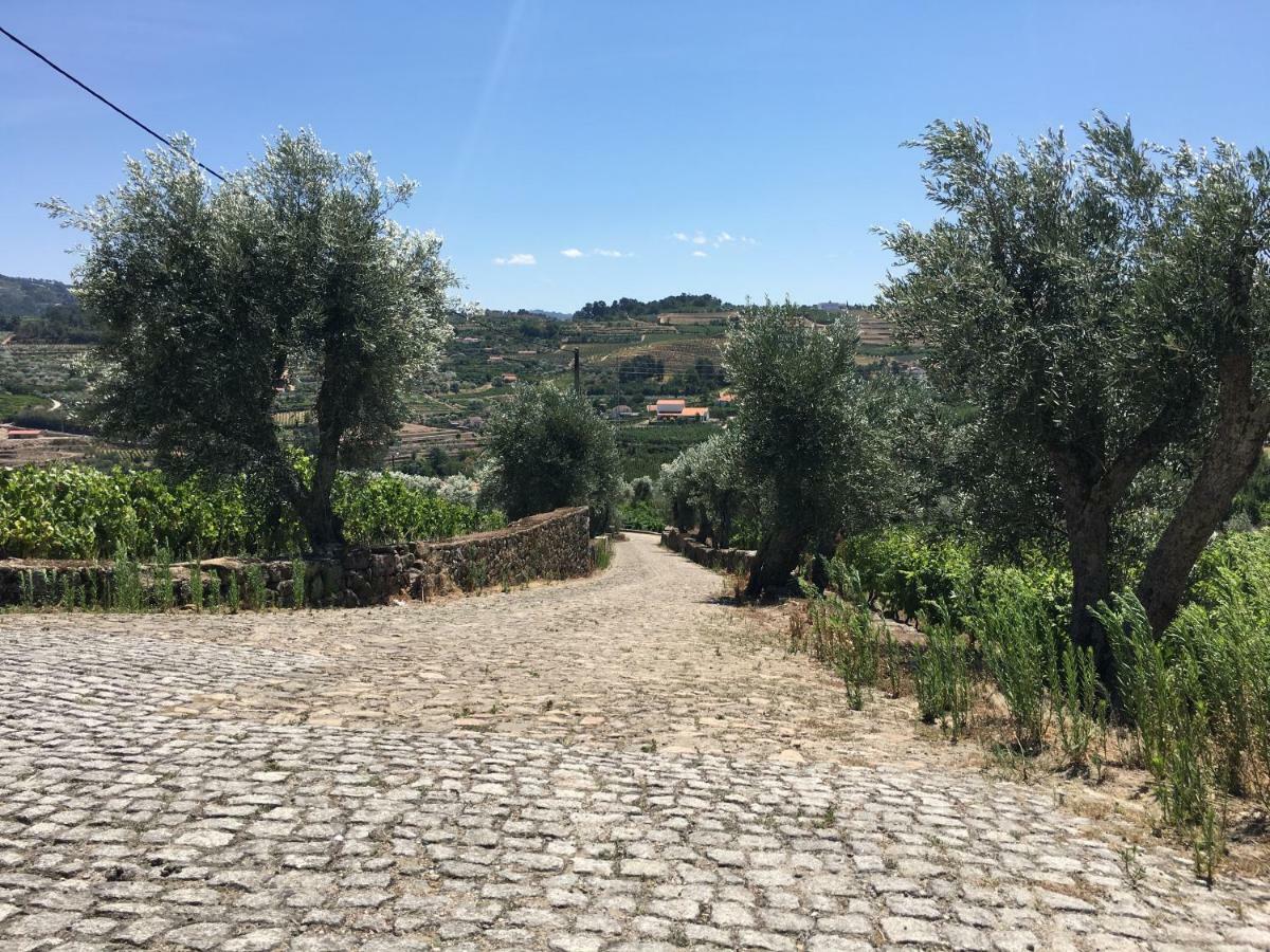 Quinta Do Acipreste Lamego Buitenkant foto