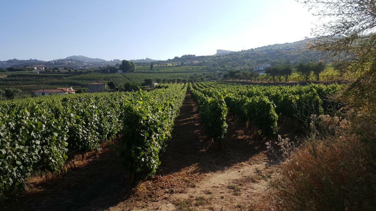 Quinta Do Acipreste Lamego Buitenkant foto