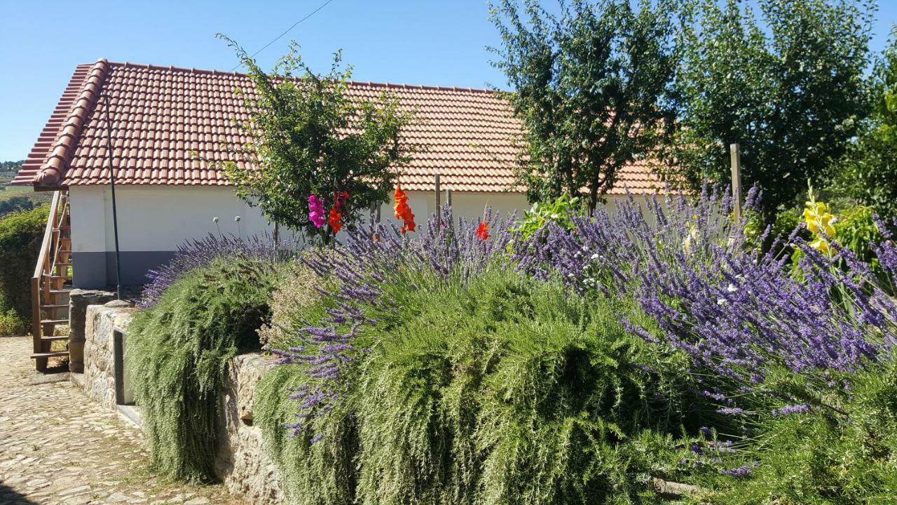 Quinta Do Acipreste Lamego Buitenkant foto