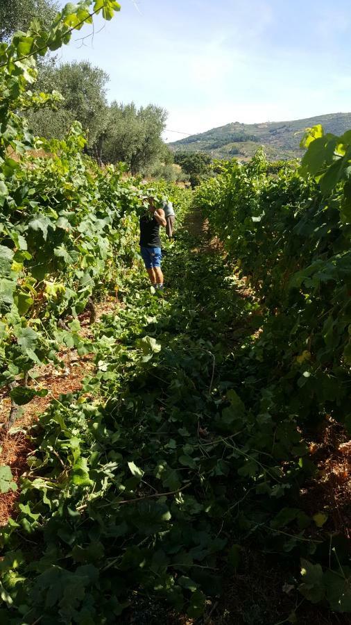 Quinta Do Acipreste Lamego Buitenkant foto