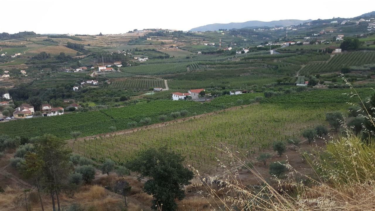 Quinta Do Acipreste Lamego Buitenkant foto
